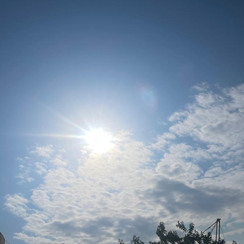 Fotosegnalazione di Daiano