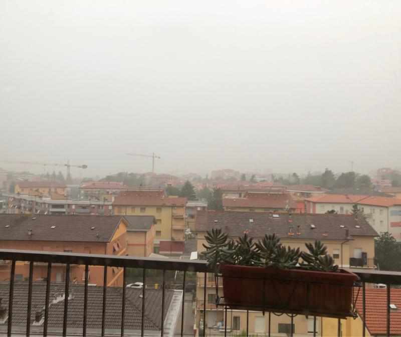Fotosegnalazione di Tolentino