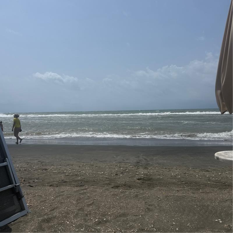 Ostia plinius