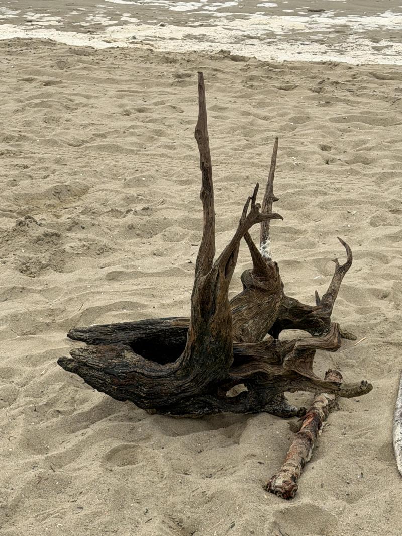 scultura dal mare