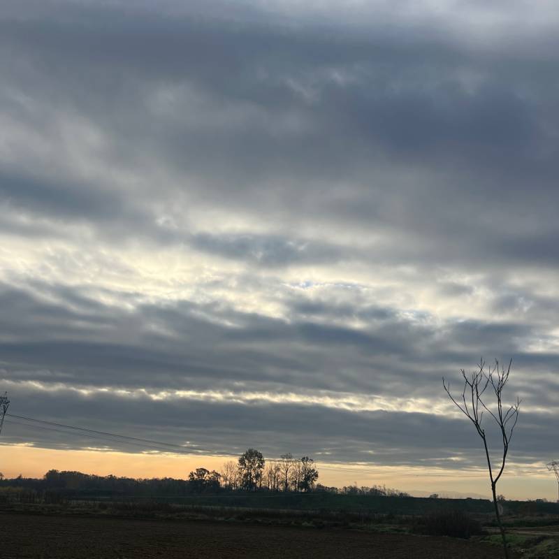 Fotosegnalazione di Dorno