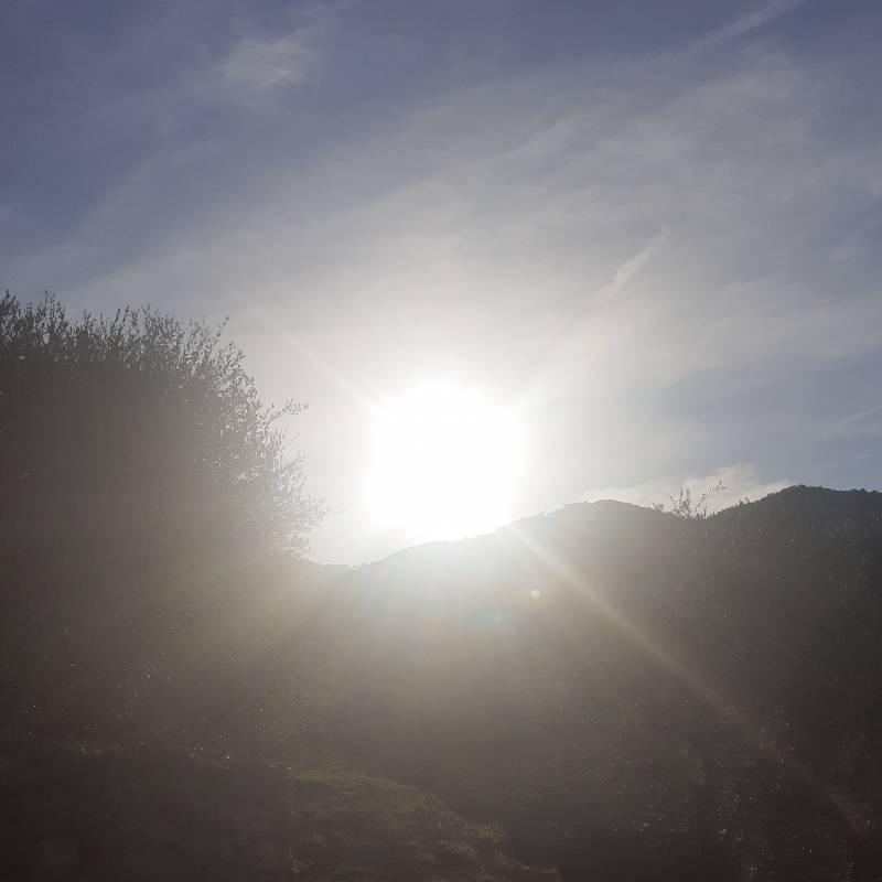 Fotosegnalazione di Stellanello