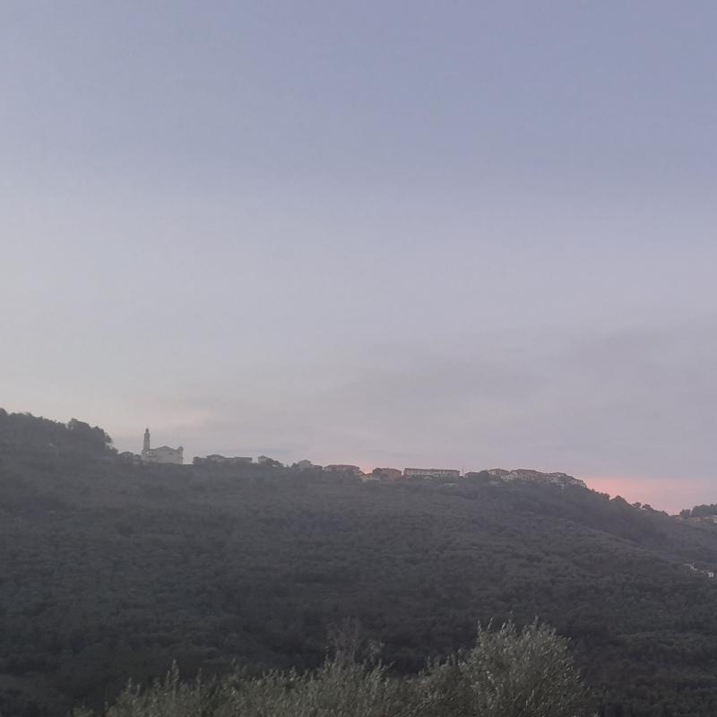 Fotosegnalazione di Stellanello