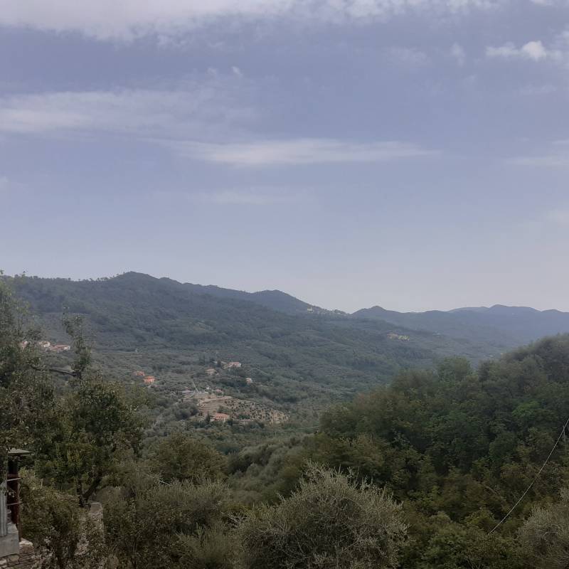 Fotosegnalazione di Stellanello