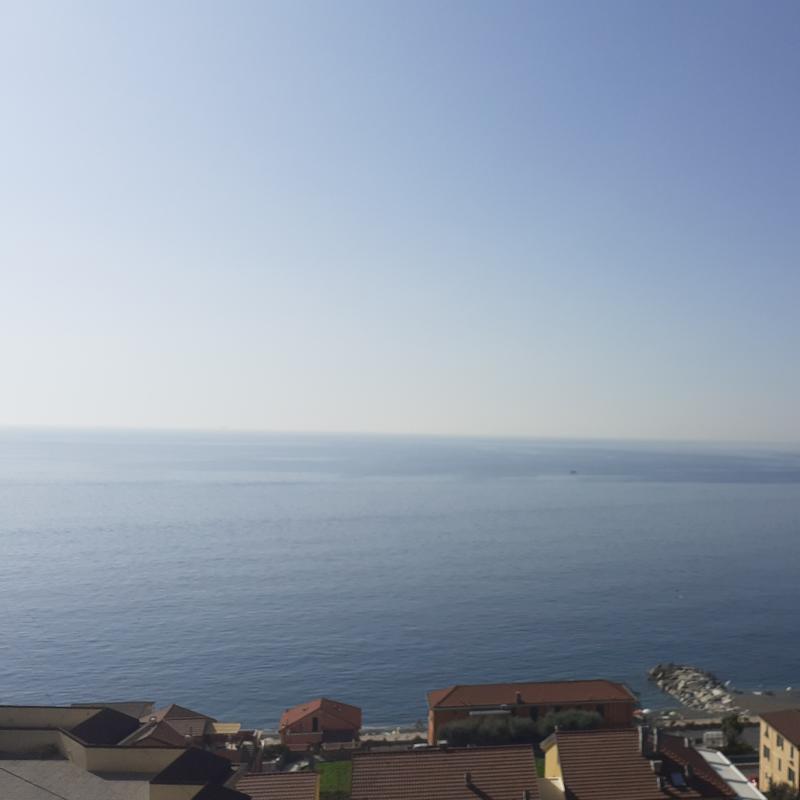 Fotosegnalazione di Cogoleto