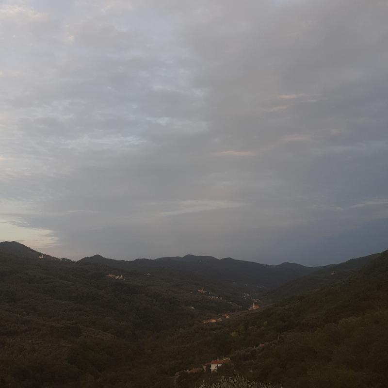 Fotosegnalazione di Stellanello