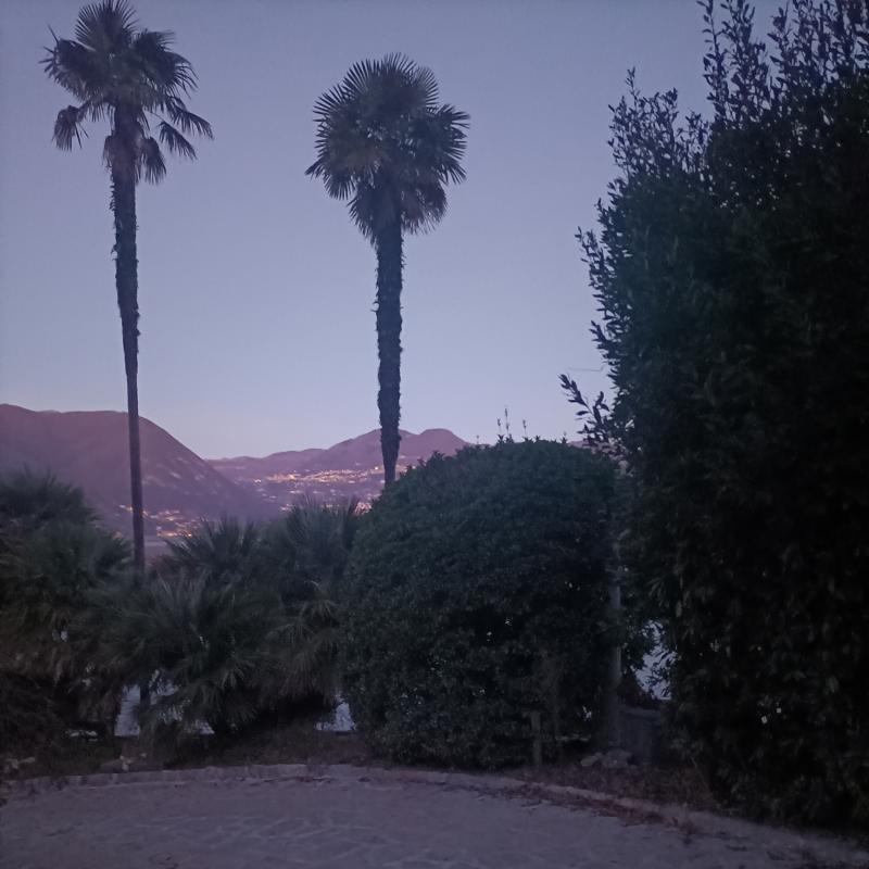 Fotosegnalazione di Sulzano