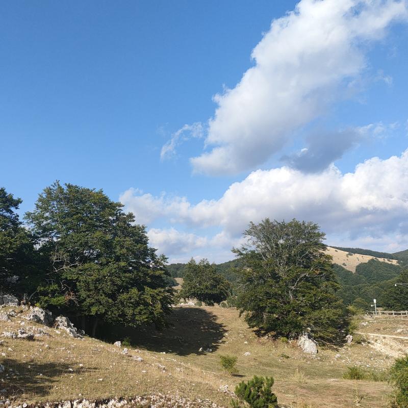 Fotosegnalazione di Campaegli