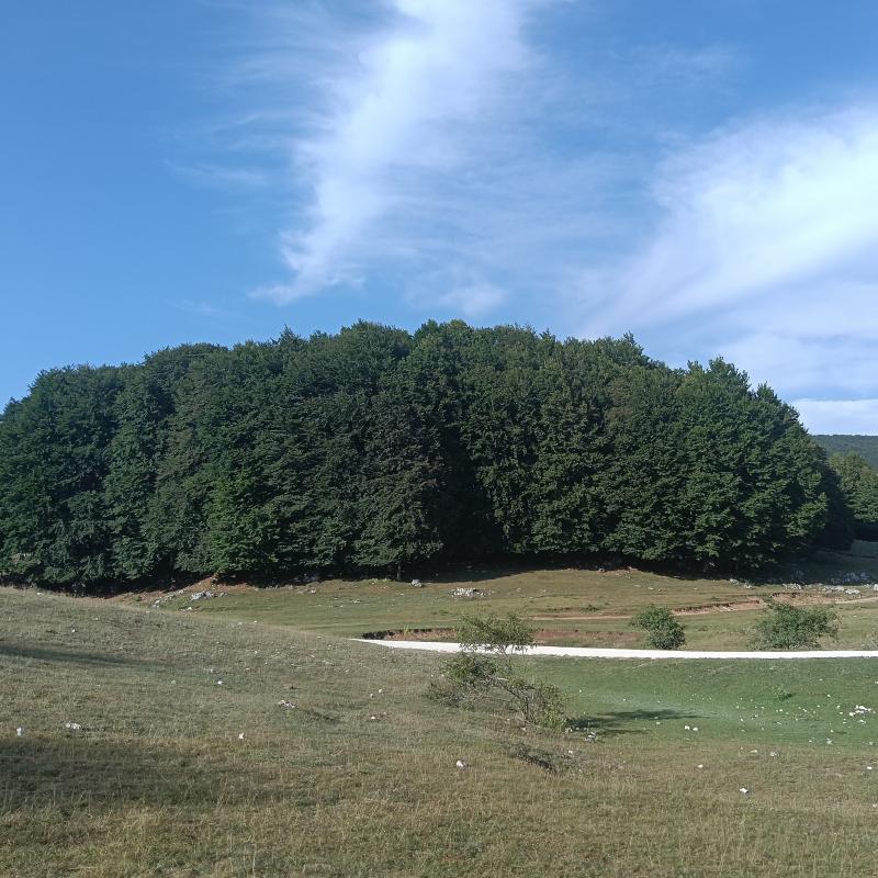 Fotosegnalazione di Campaegli