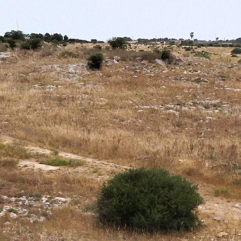 Fotosegnalazione di San marzano di san giuseppe