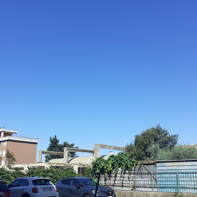 Fotosegnalazione di Tarquinia