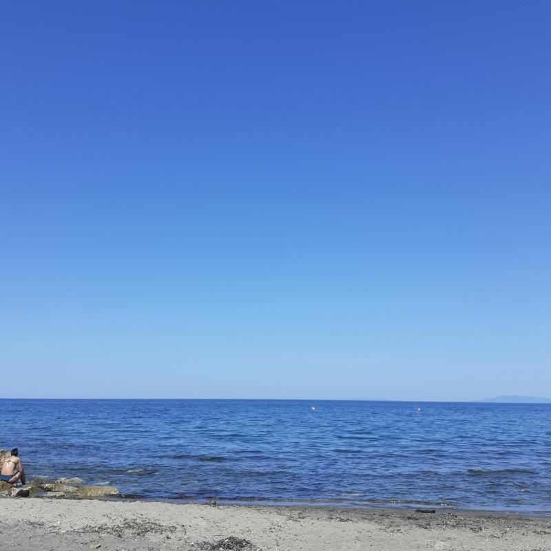 Fotosegnalazione di Tarquinia lido