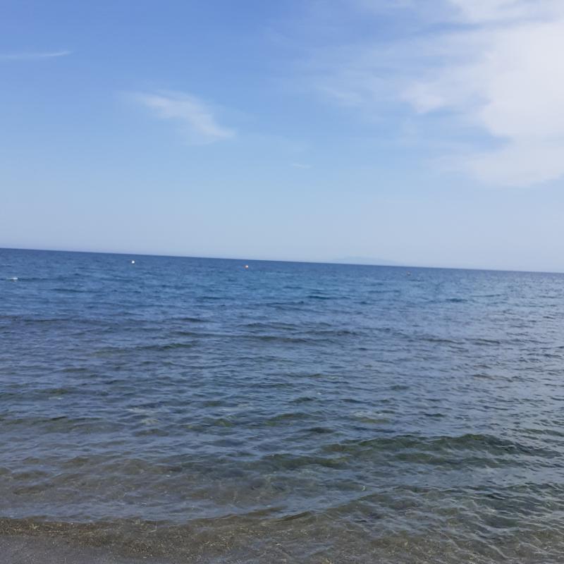 Fotosegnalazione di Tarquinia lido