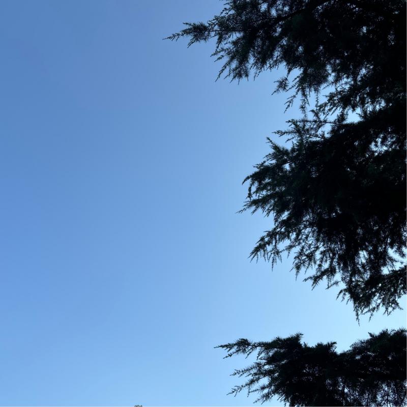 Ore 18.55