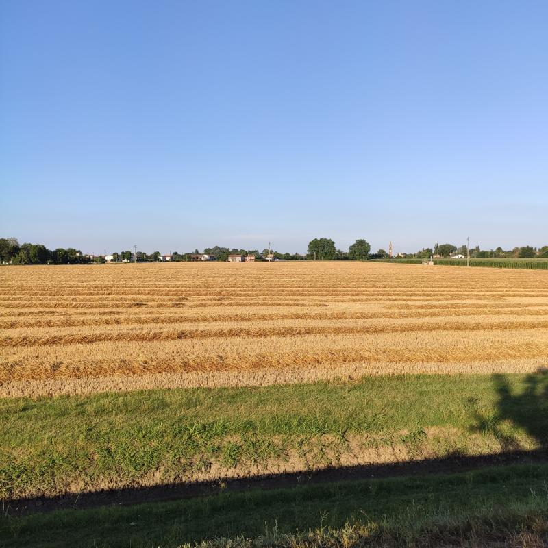 Gaibana prov. di Ferrara