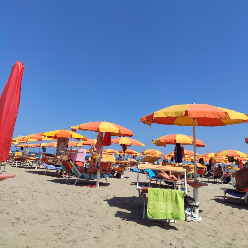 Fotosegnalazione di Porto garibaldi