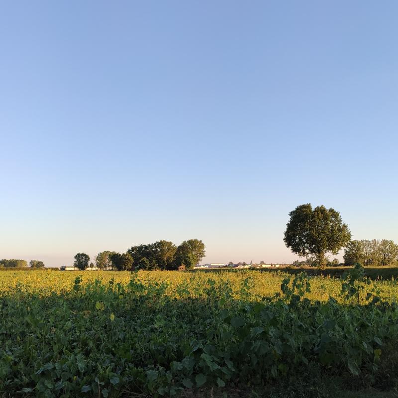 Fotosegnalazione di Ferrara sud