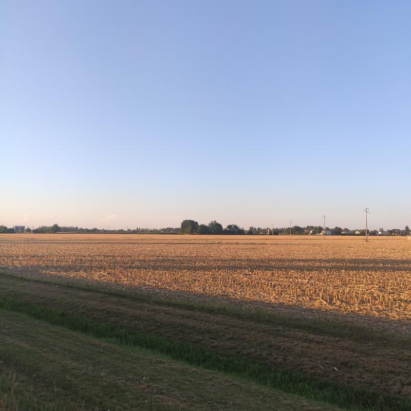 Campagna ferrarese - gaibana