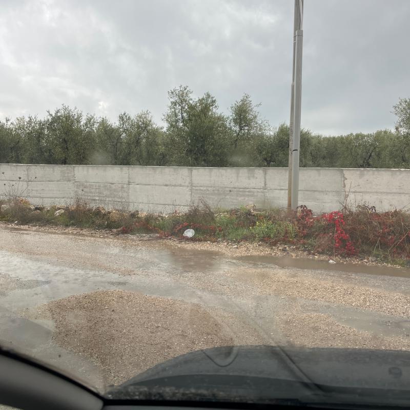 Fotosegnalazione di Trani sud