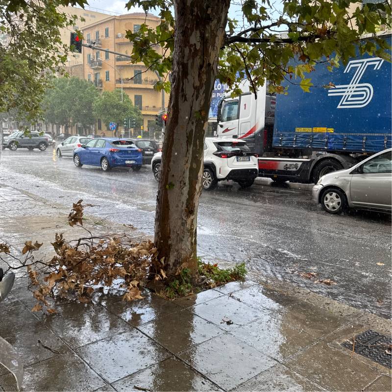 Pioggia moderata