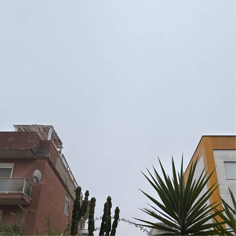 Pioggia moderata