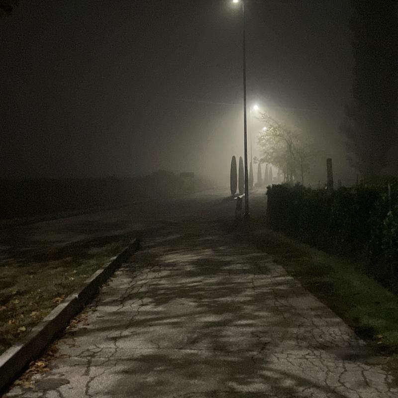 Nebbia abbastanza fitta ma non densa cielo prevalentemente nuvoloso
