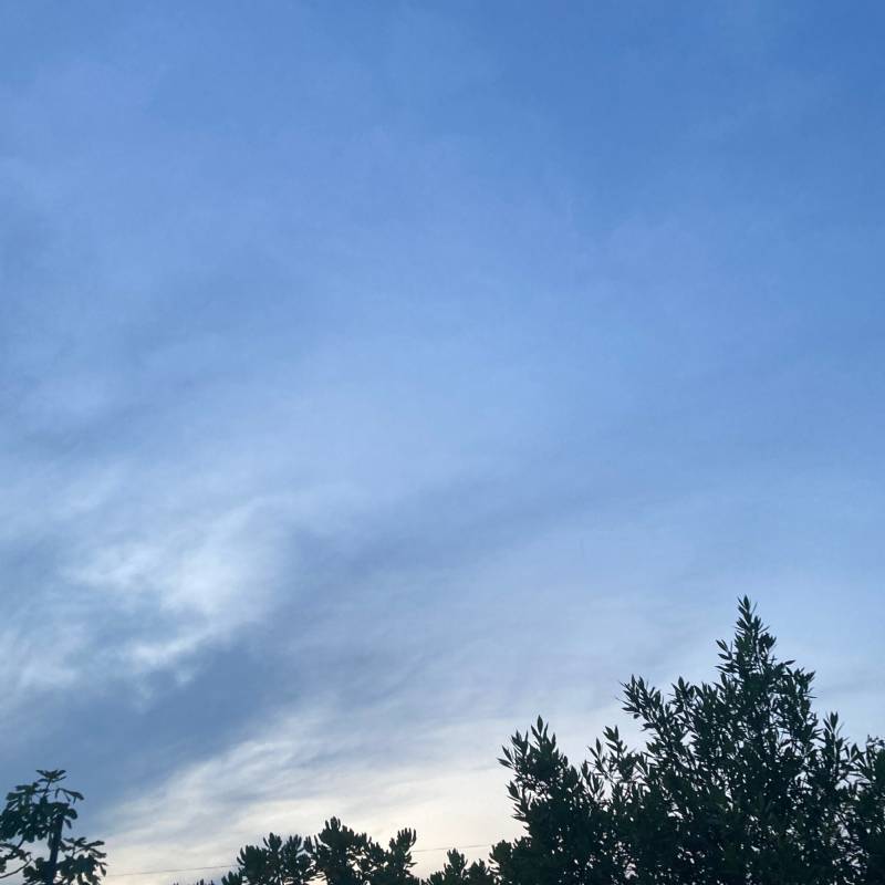 Fotosegnalazione di Desio