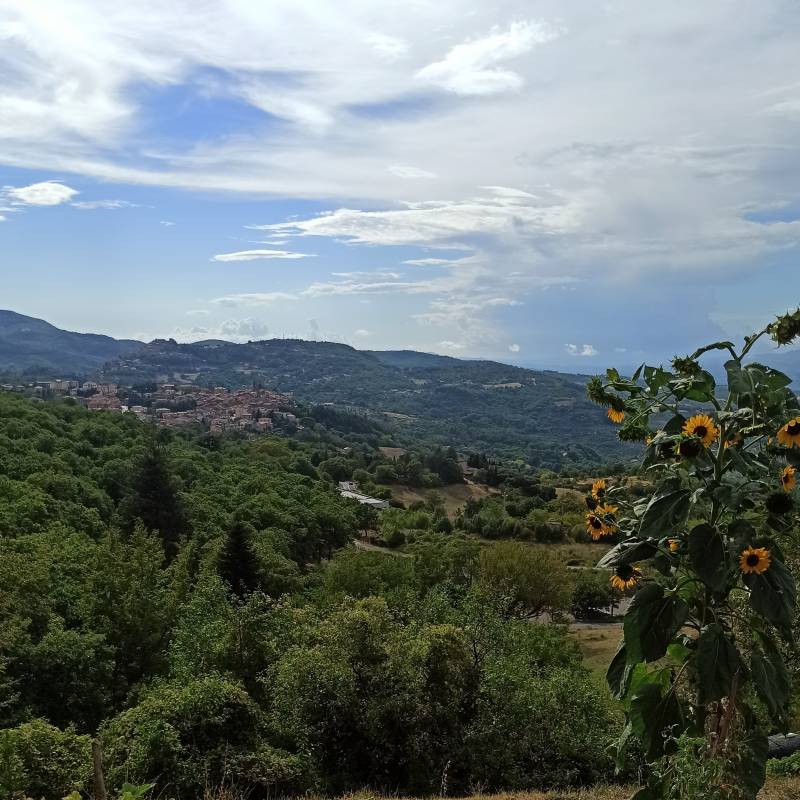 Fotosegnalazione di Castel del piano