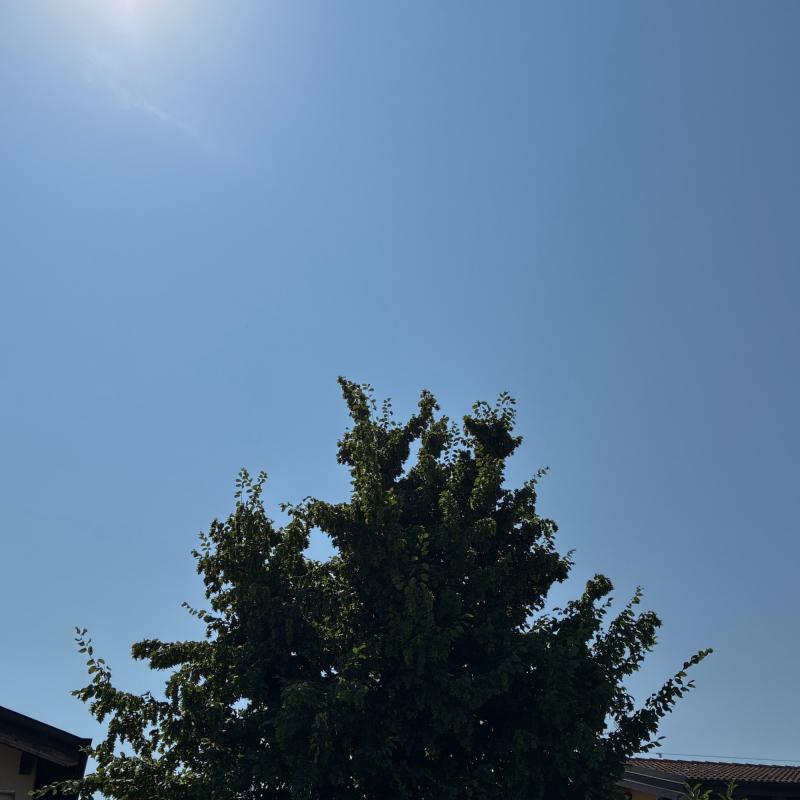 Fotosegnalazione di Pavia ovest