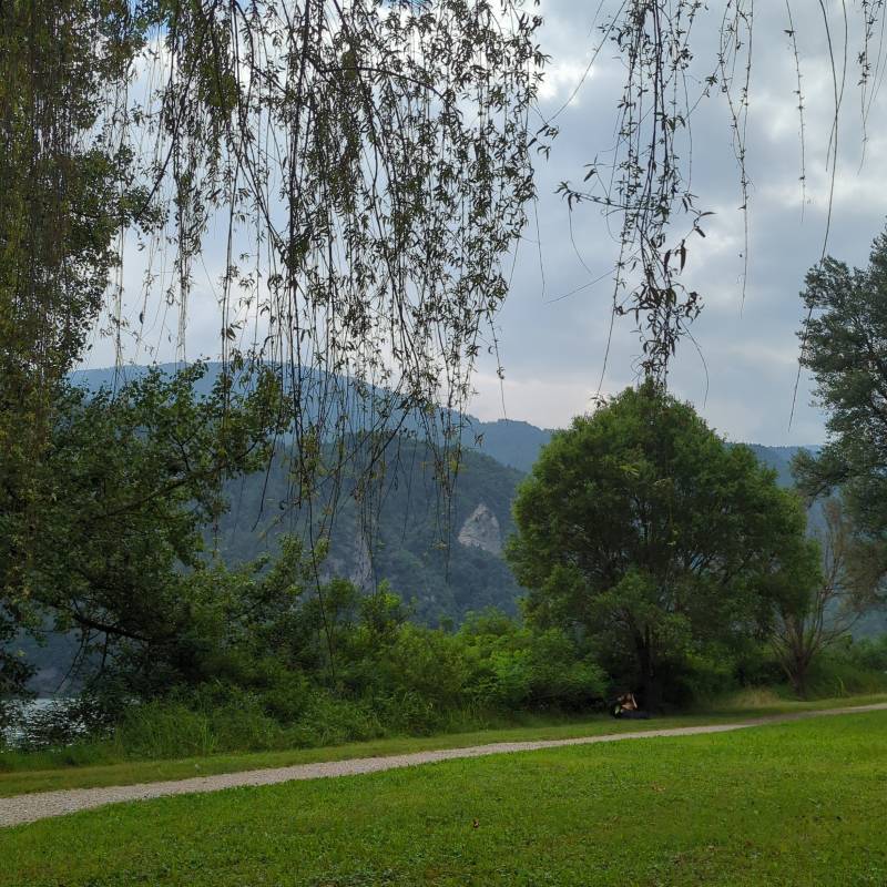 Fotosegnalazione di Arsie'