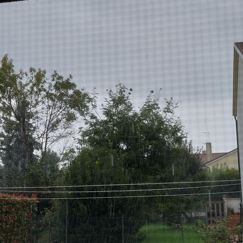 Pioggia non prevista