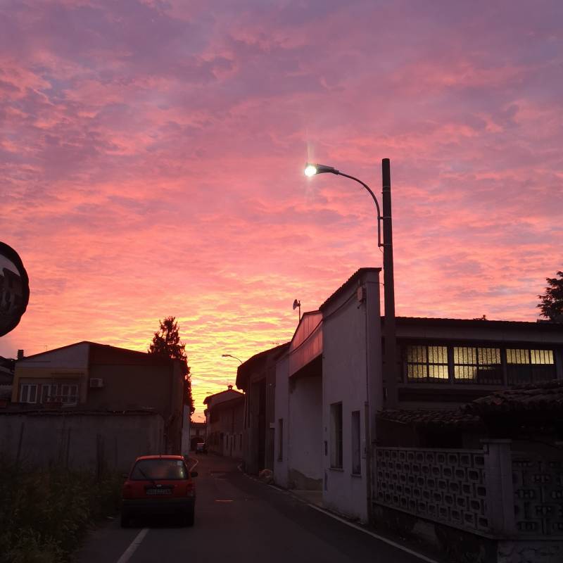 Fotosegnalazione di Corno giovine