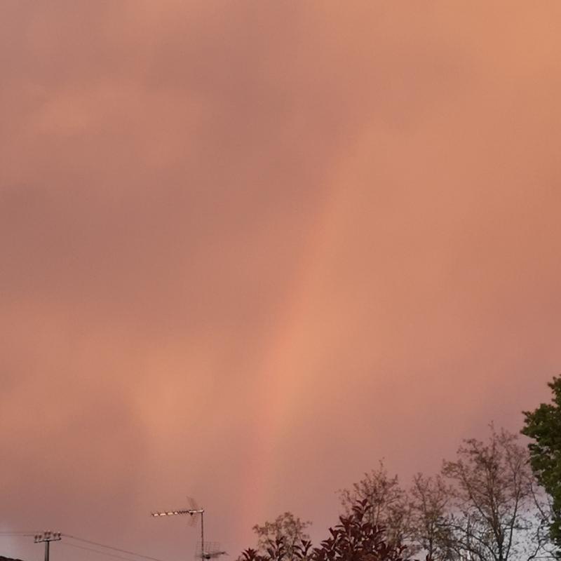 Fotosegnalazione di Corno giovine
