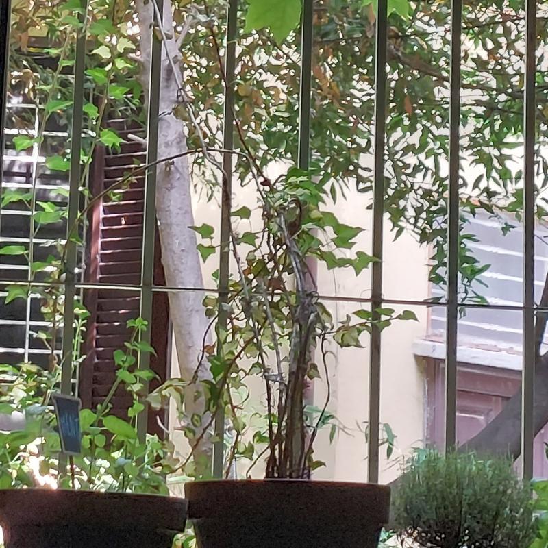 Fotosegnalazione di Milano corvetto