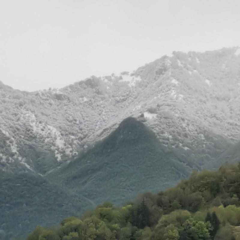 Fotosegnalazione di Casnigo