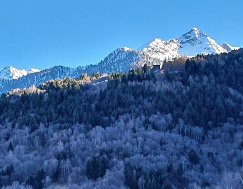 Ca' viscenzatt
