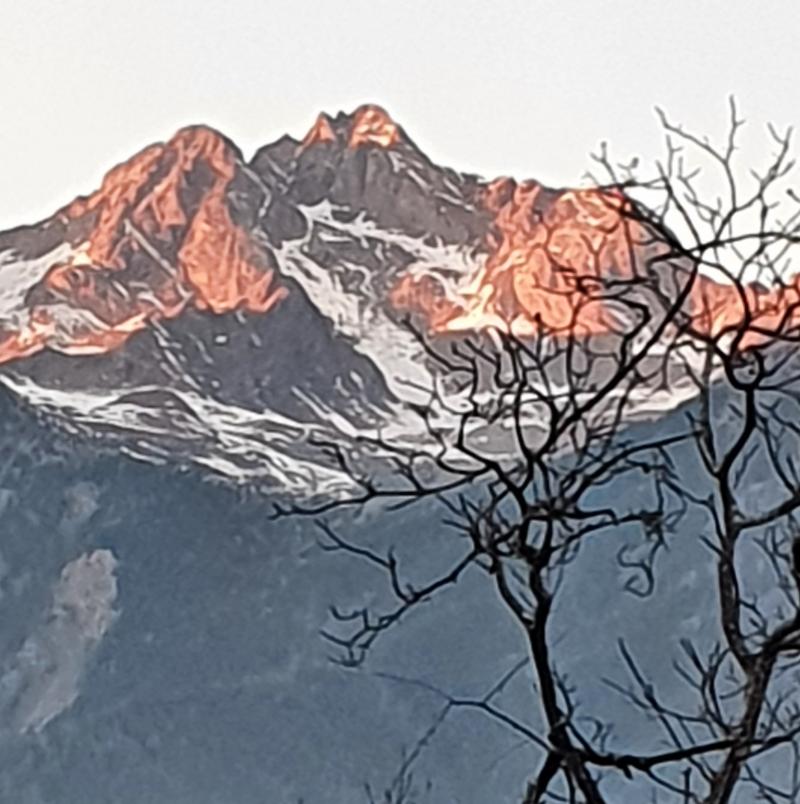 Vetta di ron