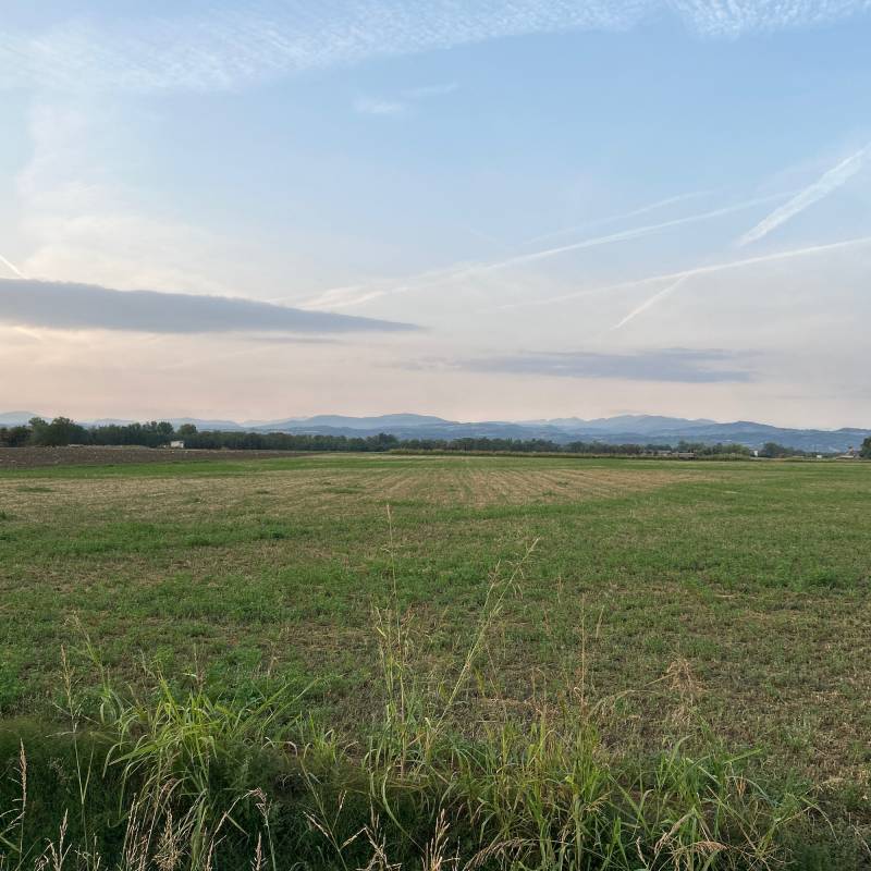 Fotosegnalazione di Podenzano