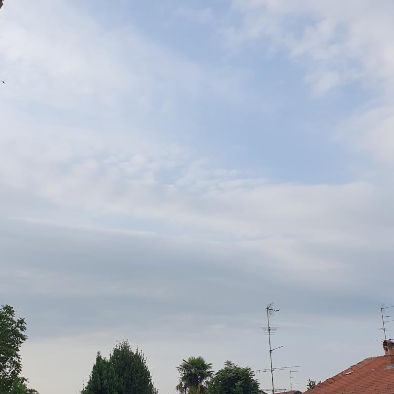 Fotosegnalazione di Novara centro urbano