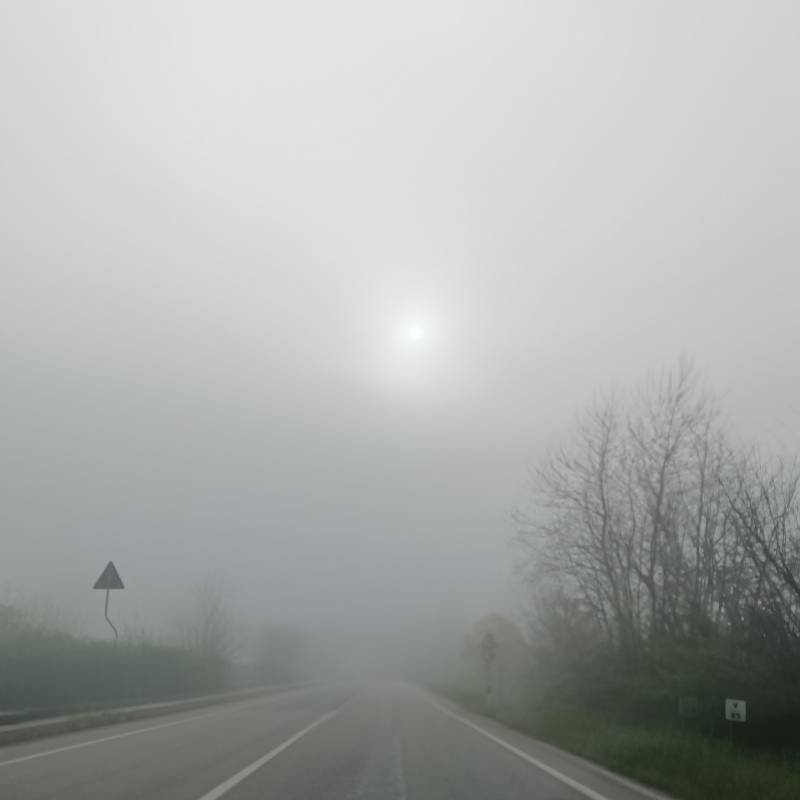 Fotosegnalazione di Motta di livenza
