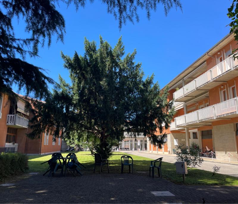 Fotosegnalazione di Vicenza centro urbano