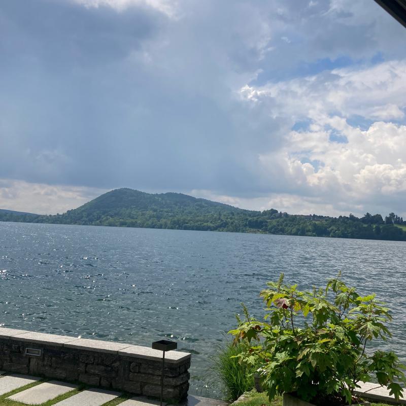 Fotosegnalazione di Travedona monate