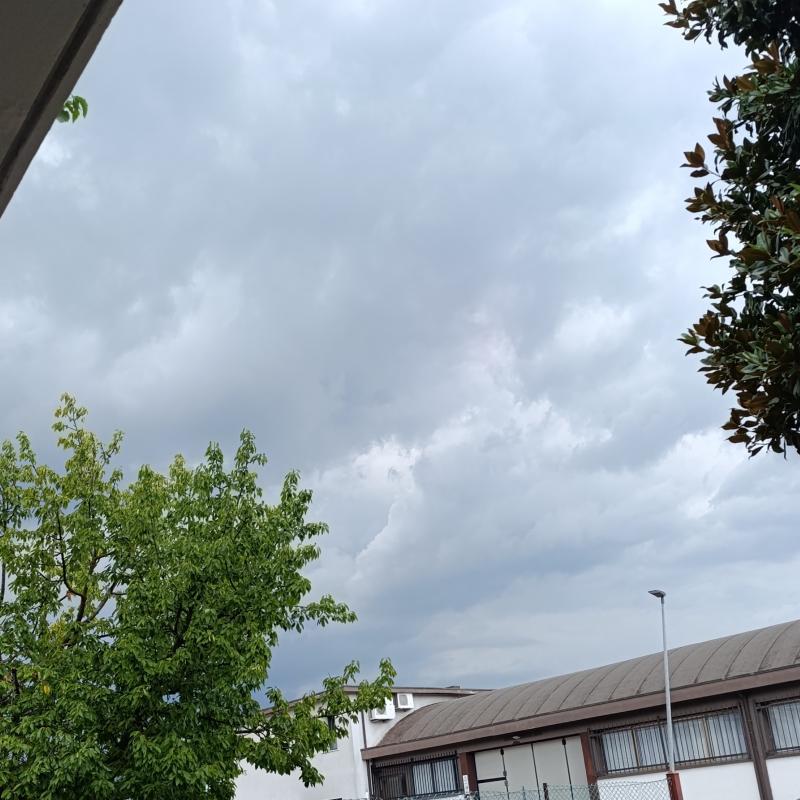 Fotosegnalazione di Quinto di treviso