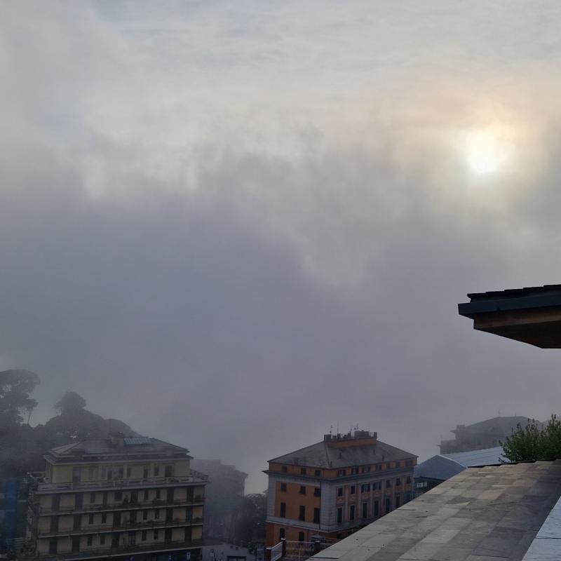 Fotosegnalazione di Camogli