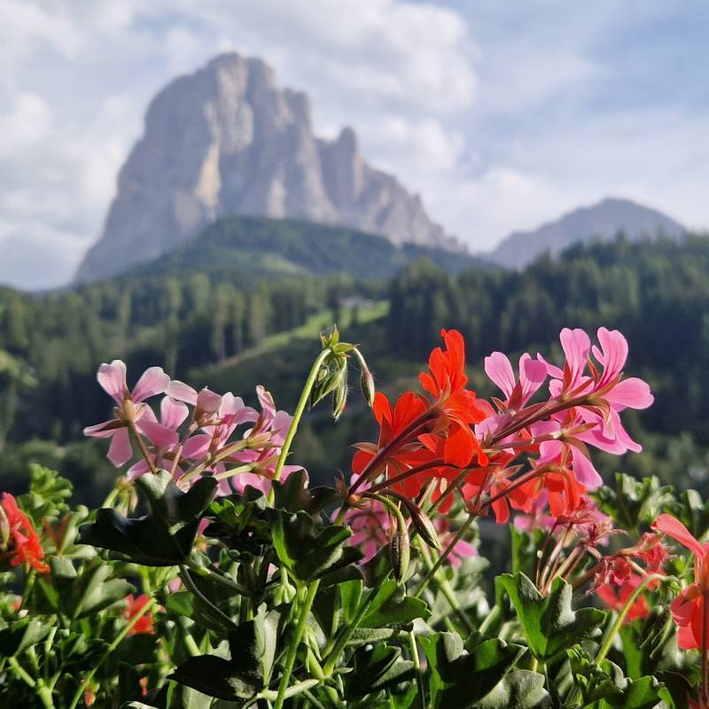 Fotosegnalazione di Santa cristina valgardena