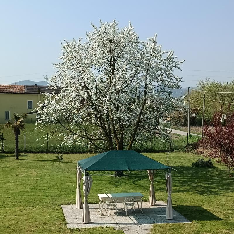 Fotosegnalazione di Abano terme