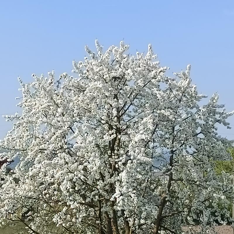 Fotosegnalazione di Abano terme