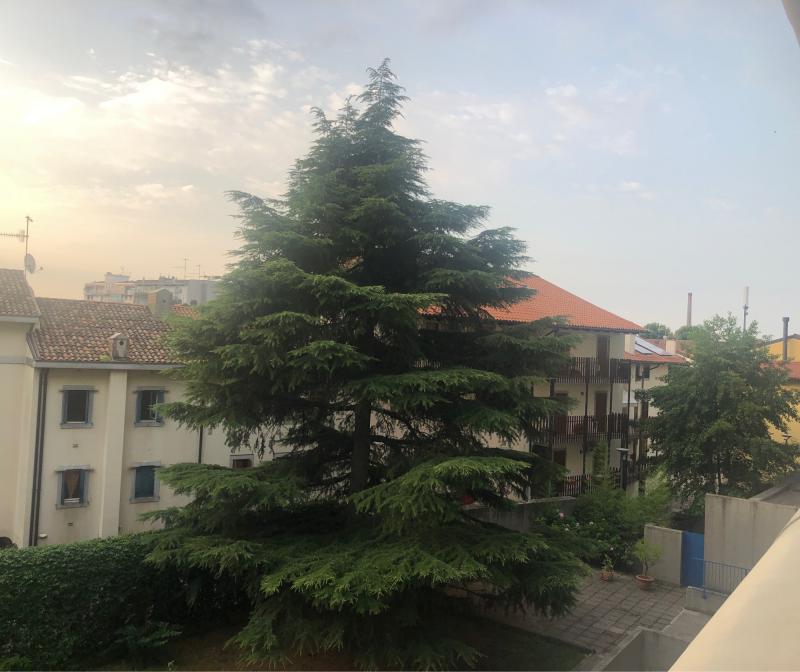 Fotosegnalazione di Udine centro