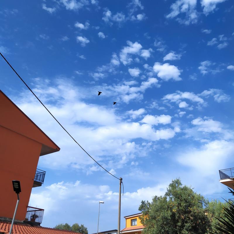 Lamezia t. capizzaglie via dei sabelli temperatura 32 gradi