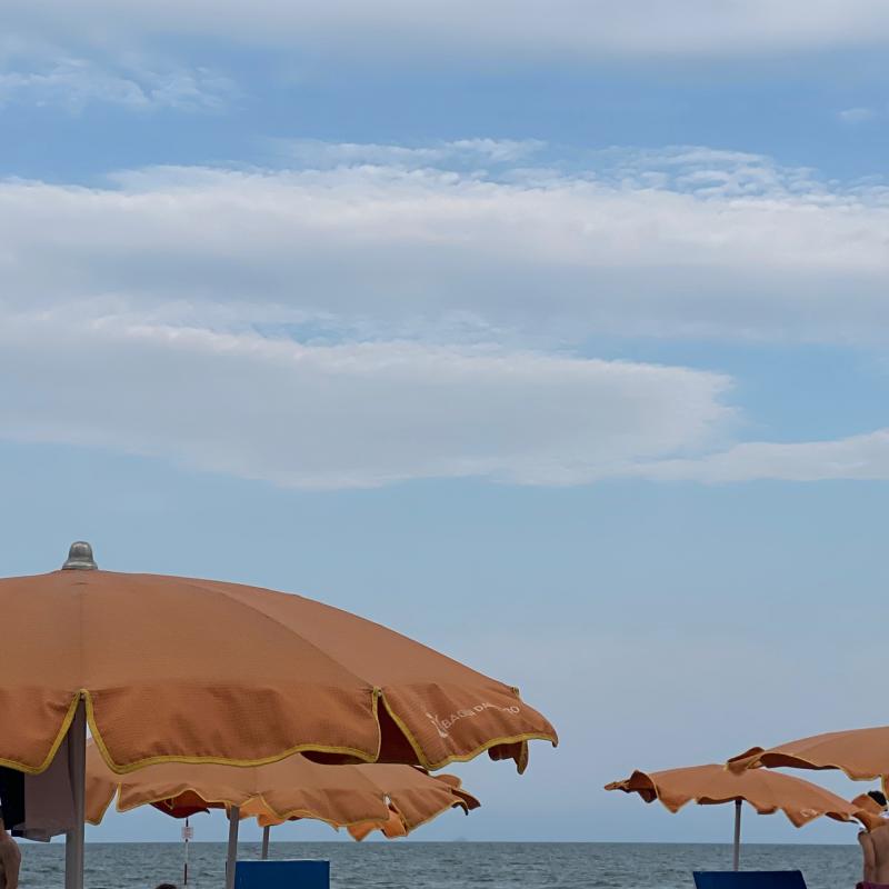 Fotosegnalazione di Rosolina mare